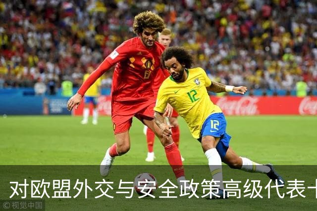 对欧盟外交与安全政策高级代表卡拉斯任职偏差的分析